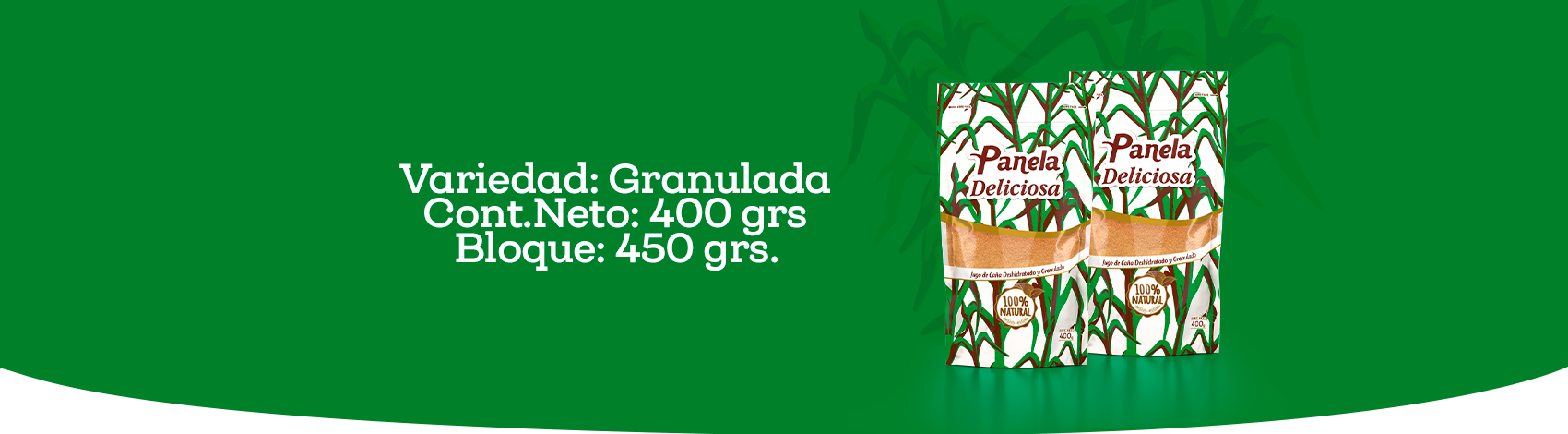 HEADER-panela